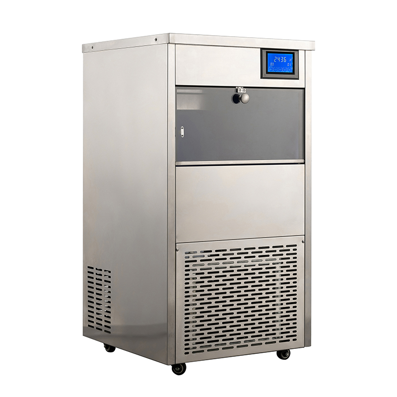 Easy to Operate 60Kg Per Day LZ-120 Automatic Control Flake Ice Machine with Ice Storage