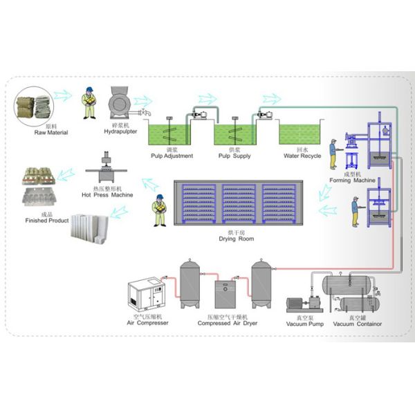 800Pcs/H Semi-auto Reciprocating Forming Waste Paper Egg Tray Equipment