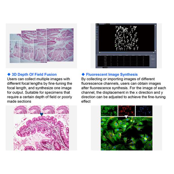 Led Semi Auto Trinocular Stereo Microscope For Research Scientific Laboratory A12.1093-L