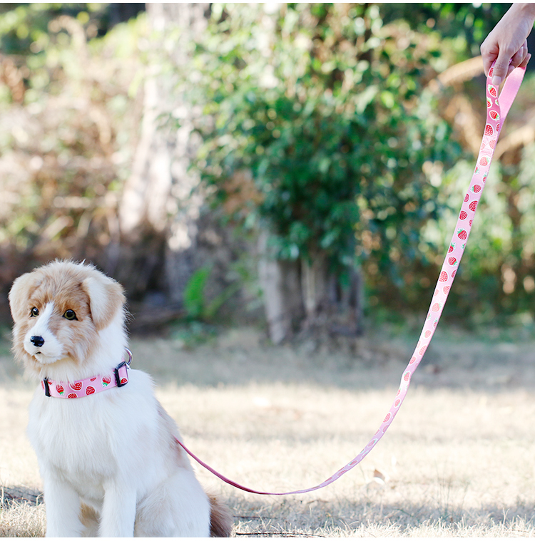 OEM training dog leash Silk Screen Pattern dog training lead