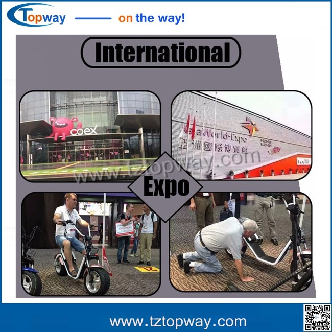 18*9.5 inch big tyre 1000w 60v harley electric scooter no folding stand up citycoco