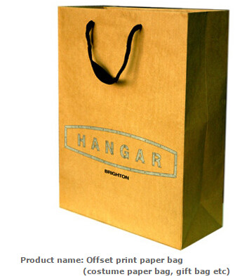 Low cost custom made design logo print handle paper carrier bag luxury paper gift bag,Luxury Paper Package Packaging Gif