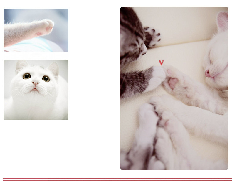 Lightweight Cat Paw Mouse Pad , Creative Cat Mouse Pad With Wrist Rest