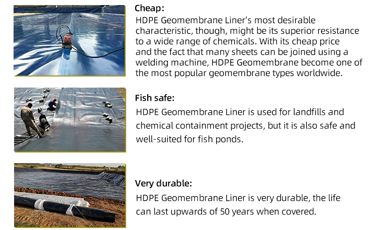1m-10m Width HDPE Geomembrane Liner for Fish Shrimp Farm Welding Machine to Benefit Farms