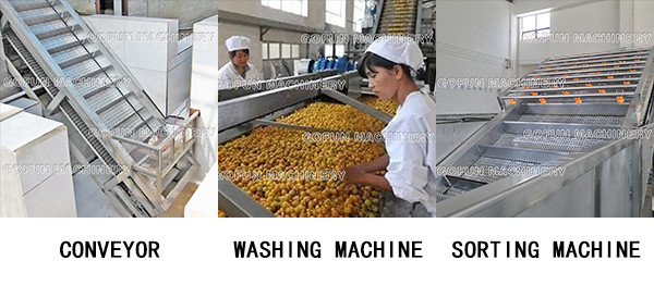 SUS 304 Mango Processing Line 10 T/H Mango Pulp Processing Plant