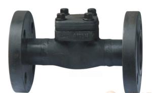 China forged steel Flange for welding check valve，check valve wholesale