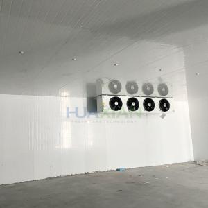 China Freezer/Chiller/Cold Modular Storage Room with Refrigeration Condenser Unit for Meat/Vegetables/Fish/Fr on sale