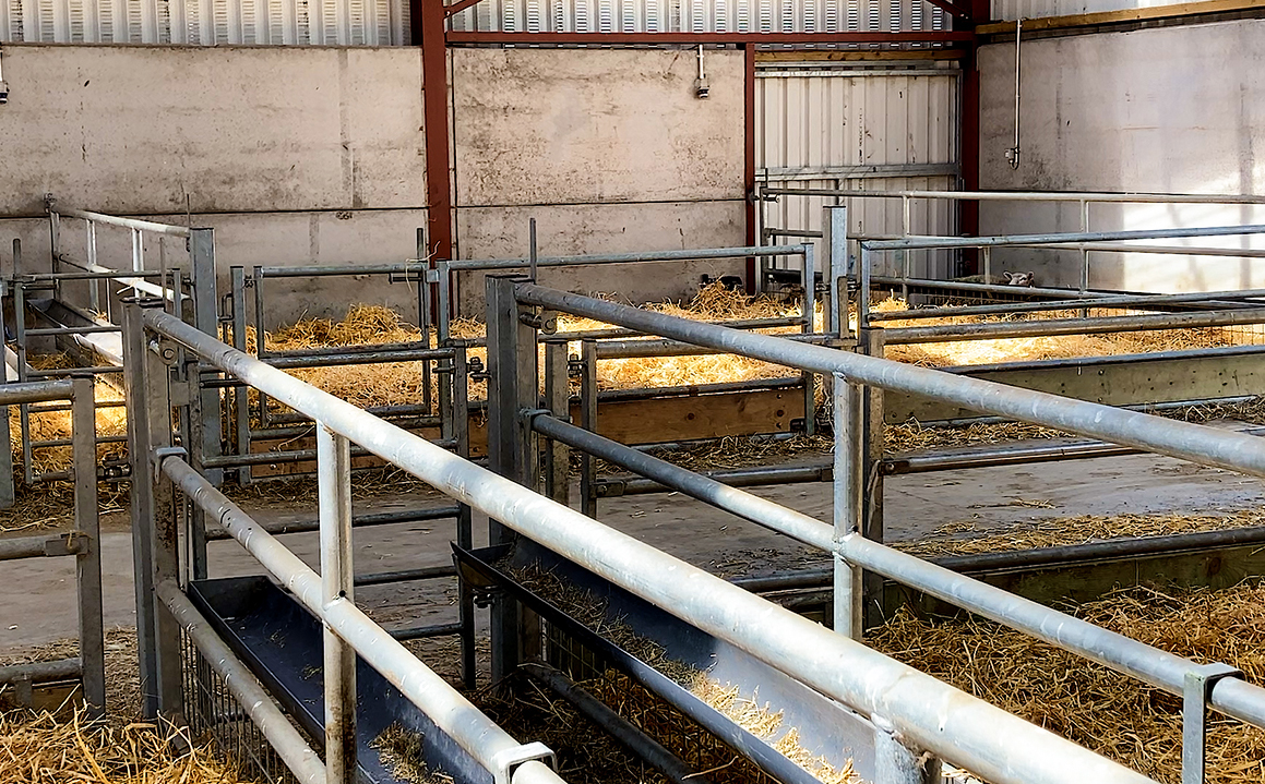 Sliding Door and Roller Door Design Q345 Metal Frame Goat/Sheep House for Cow/Cattle Farm