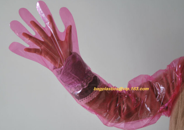 Biodegradable PE gloves Medical PE gloves disposable PE glove,Eco Friendly Disposable Transparent Home Use Pe Gloves