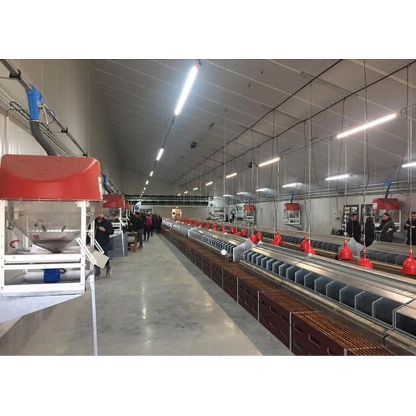 860mm Width Poultry Egg Collection System Automatic Chicken Egg Collector ISO9001