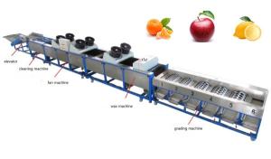 orange cleaning drying grading machine, orange sorting machine, lemon grading machine