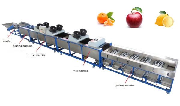 Quality apple cleaning drying grading machine, apple sorting machine, lemon grading machine for sale