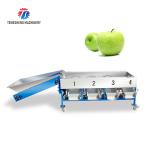 280KG Lemon screening and grading machine special stainless steel roller fruit