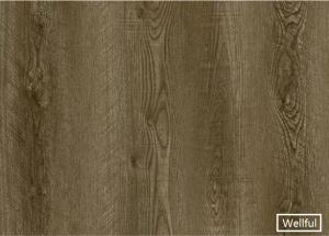 PVC Decorative Film: Thousands of Patterns, Customized Color/Emboss