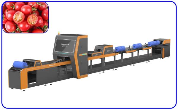 Mechanical Automatic Sorting Machine Electric Drive 1 Channel Cherry Tomato