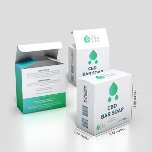 220V Pharmaceutical Cartoning Machine ZH-50 Automatic Box Packing Machine