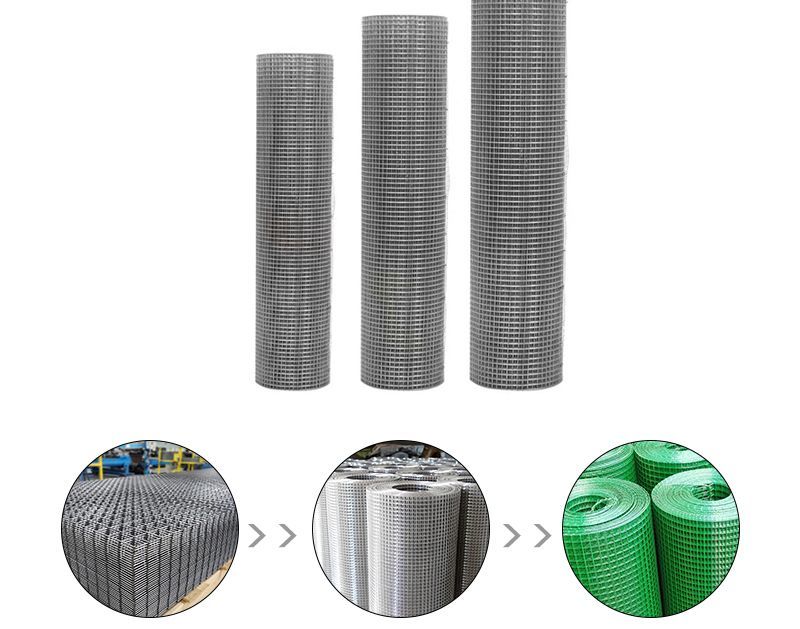 Hot Galvanized Welded Wire Mesh China 800 mm - 1600 mm Width 6 X 6 Welded Wire Mesh