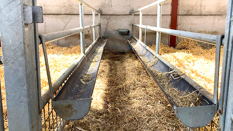 Sliding Door and Roller Door Design Q345 Metal Frame Goat/Sheep House for Cow/Cattle Farm