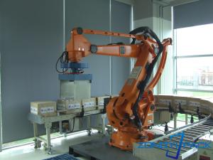China Lay Cartons Plastic Robot Palletizer Machine Fully Automatic Metal wholesale