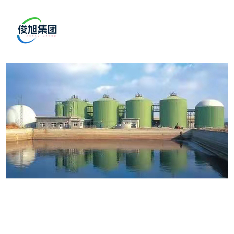 10000 kg Capacity Wet Biogas Desulfurization Equipment with Customization Flexibility