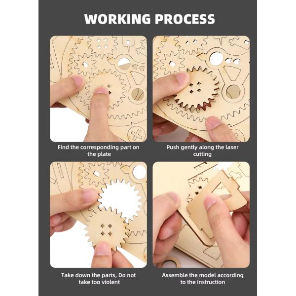 Customization Educational Wooden Toy Eco Friendly Safe Materials Wooden Science Kit