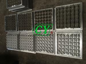 China Die Casting Paper Pulp Mold 30 Cavity Paper Pulp Moulded Trays wholesale