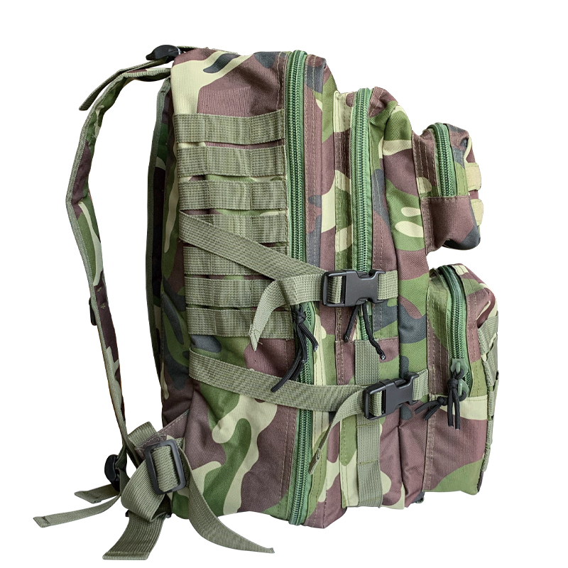 Outdoor Hiking Multi-Function Sport Bag with Carrying System Physiological Curve Back