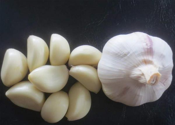 Quality Spicy White Garlic Natural Agricultural Products for sale