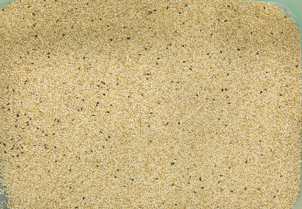 1T/H Grain Color Sorting Machine Rice Selection Automatic Computing