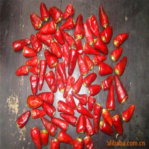 China Stemless Dried Red Bullet Chilli Round 12% Moisture 4 - 7cm wholesale