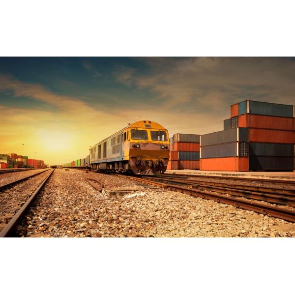 Heavy Duty SS Poultry Abattoir Equipment Large Scale Slaughtering Machine For Chicken