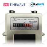 LoRaWAN Smart Gas Meter Secure Gas Consumption Meter Lithium Battery Digital