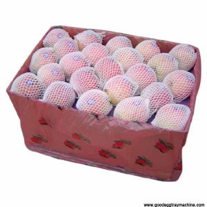 HIGH QUALITY EPE Foam fruit Net extruding making Machine