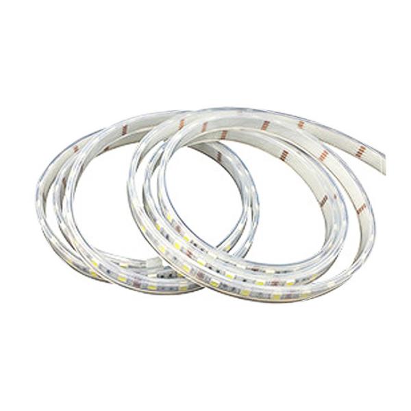 External 1903IC SMD 5050 LED Strip Light Low Voltage Magic Color Dimmable