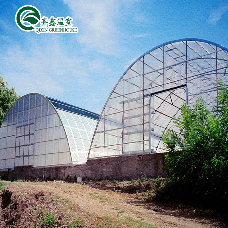 PO Single Layer Greenhouse for Agriculture Boost Agricultural Production