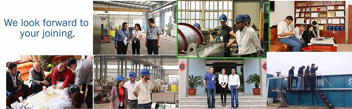 Home Waste Incinerator for Hospital Pet Household and Industrial Waste Weight 3000 kg