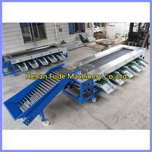 Mango sorting machine