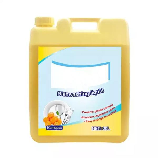 Quality Customized Large Plastic Jugs Liquid Detergent Empty Bottle With Handle And Screw Cap for sale