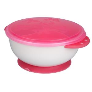 Cute Dinnerware And Serveware Set , Toddler Rustic Pottery Dinnerware Sets