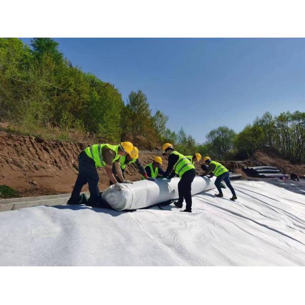 HDPE 3D Composite Drainage Network Geomat The Ultimate Solution for Water Management