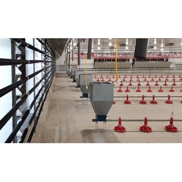 Broiler Automatic Feeder Chain Feeding System Poultry