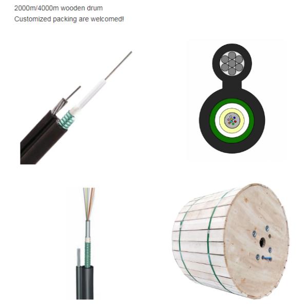 Gyxtc Optical Fiber Cable 8s 2 4 6 8 12 Core LAN Armored
