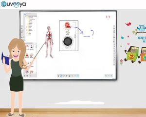 China Classroom Multi Touch Smart Whiteboard Digital Ir Interactive Whiteboard With Projector wholesale