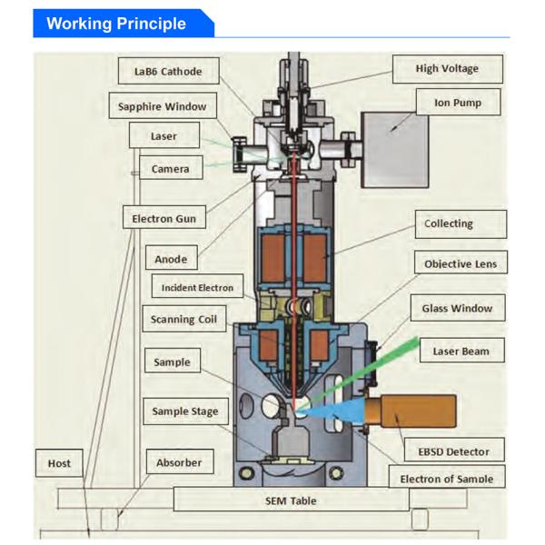 1x~3000000x Scanning Optical Microscope Digital Five Axis Motorized Stage A63.7081