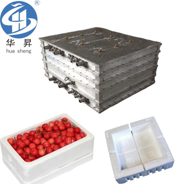 Initial Payment Expanded Polystyrene Foam Mould Made in with Affordable Shipping Cost
