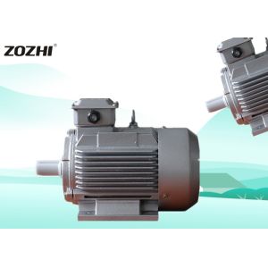 Biomass Pellet Machine Three Phase AC Electric Motor F Insulation Classtion