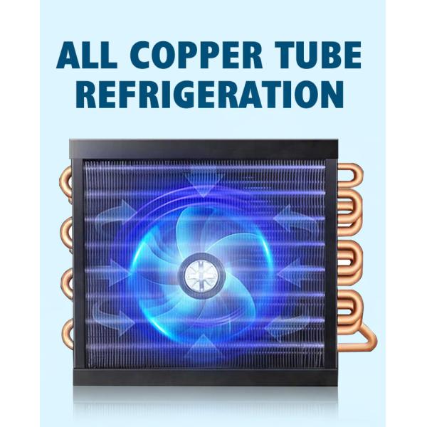 Commercial Double Door Upright Freezer R134a Vertical Display Chiller