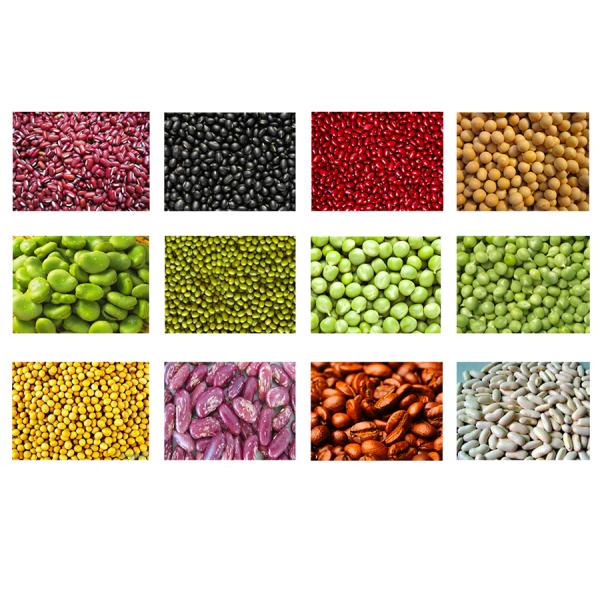 Nikon CCD Camera Red Bean Color Sorter 99.99% Sorting Accuracy