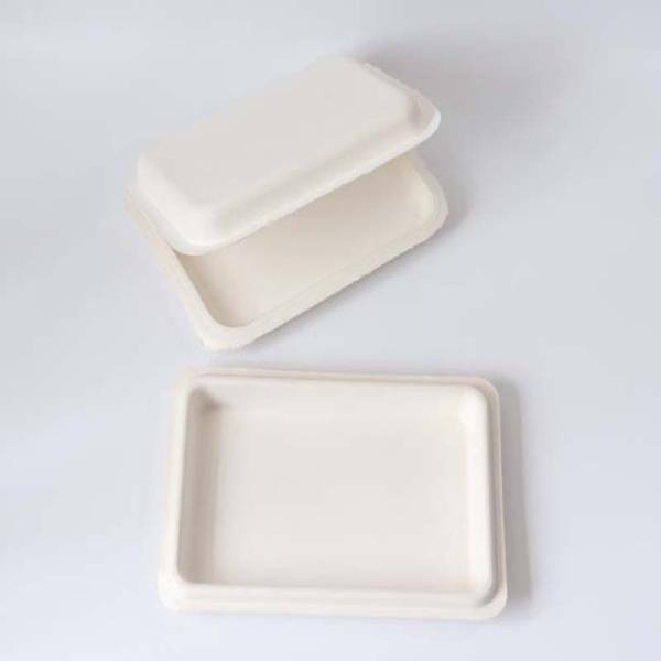 Corrugated Paper Biodegradable Pulp Molded Wine Packaging Trays