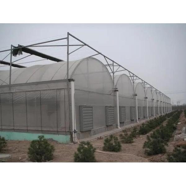 Agricultural Single-Span Tunnel Type Film Blackout Mushroom Greenhouse with Light Deprivation System for Medical Plants and Mushroom